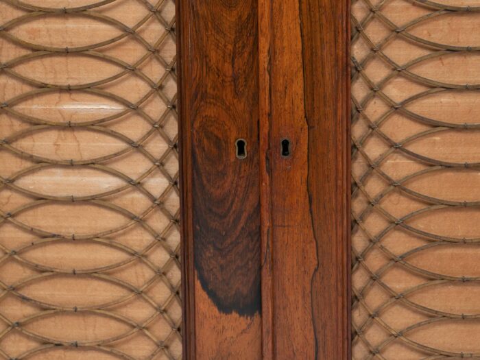 19th Century English Regency Side Cabinet - Image 9