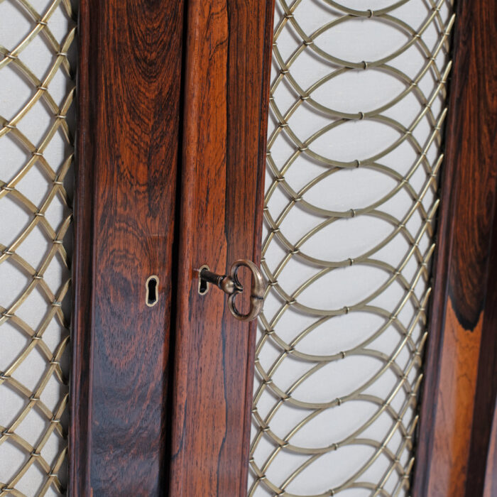 19th Century English Regency Side Cabinet - Image 5