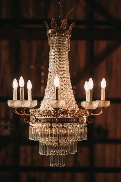 antique crystal chandelier french empire lookbook