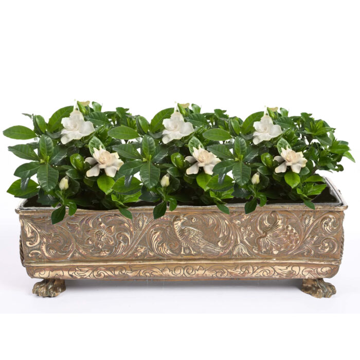 19th Century English Engraved Brass Jardiniere