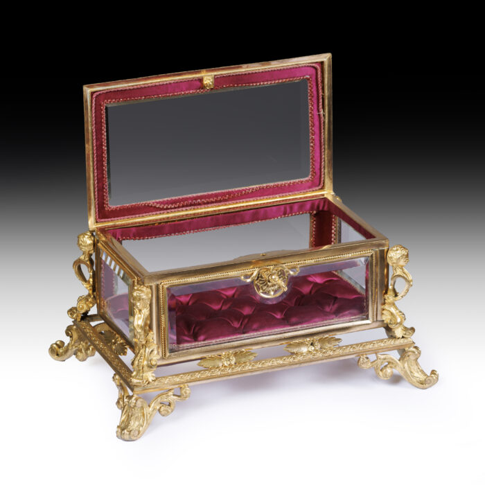 Early 20th Century French Display Casket - Image 3