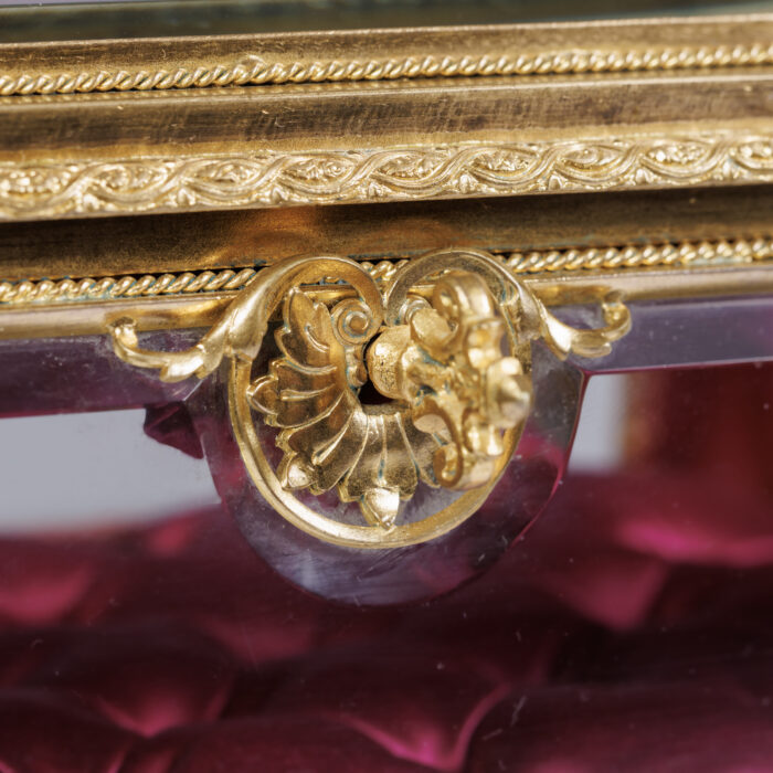 Early 20th Century French Display Casket - Image 5