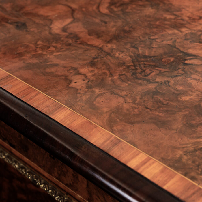 Exceptional 19th Century English Four Door Bookcase - Image 10